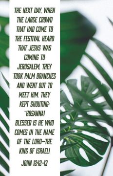 portada Palm Sunday Bulletin: Blessed Is the King of Israel (Package of 100): John 12:12-13 (Csb) (in English)