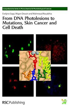 portada From dna Photolesions to Mutations, Skin Cancer and Cell Death (en Inglés)