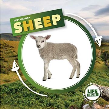 portada Life Cycle of a Sheep (Life Cycles) (en Inglés)