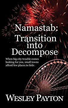 portada Namastab: Transition Into Decompose (Downstate Illinois) (in English)