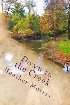 portada Down to the Creek: Book 1 of the Colvin Series (en Inglés)