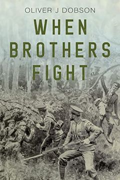 portada When Brothers Fight (en Inglés)