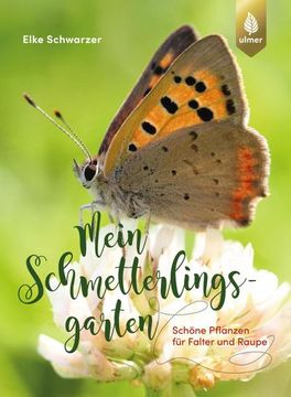 portada Mein Schmetterlingsgarten (en Alemán)