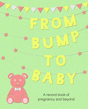 portada From Bump to Baby: A Record Book of Pregnancy and Beyond (en Inglés)