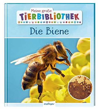 portada Meine Große Tierbibliothek: Die Biene (in German)