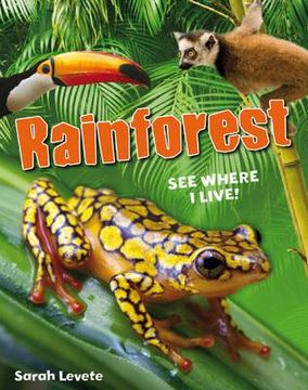 portada rainforest (en Inglés)