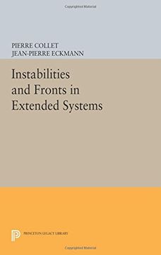 portada Instabilities and Fronts in Extended Systems (Princeton Legacy Library)