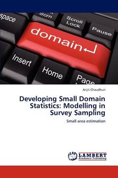 portada developing small domain statistics: modelling in survey sampling (en Inglés)