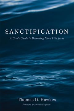 portada Sanctification (en Inglés)