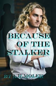 portada Because of the Stalker (en Inglés)