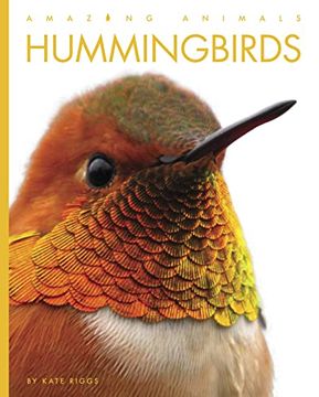 portada Hummingbirds (Amazing Animals) (in English)