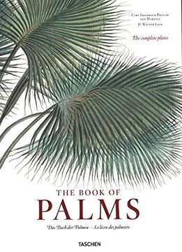 portada The Book of Palms (en Inglés)