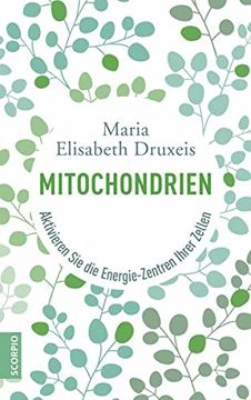 portada Mitochondrien: Aktivieren sie die Energie-Zentren Ihrer Zellen (in German)