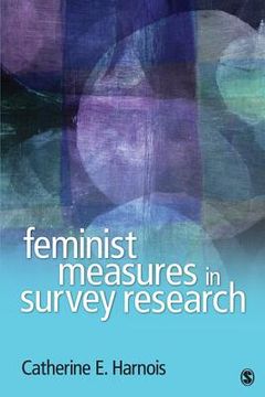 portada feminist measures in survey research (en Inglés)