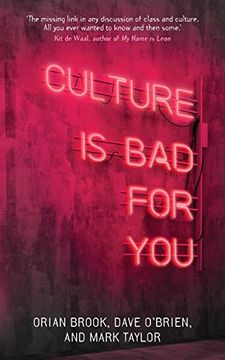 portada Culture is bad for You: Inequality in the Cultural and Creative Industries