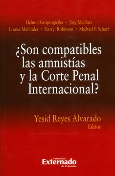 portada ¿Son compatibles las amnistías y la corte penal internacional? (in Spanish)