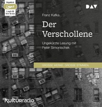 portada Der Verschollene (in German)
