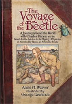 portada The Voyage of the Beetle (en Inglés)