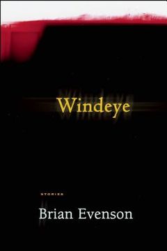 portada windeye (in English)