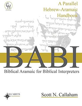 portada Biblical Aramaic for Biblical Interpreters: A Parallel Hebrew-Aramaic Handbook (8) (en Inglés)