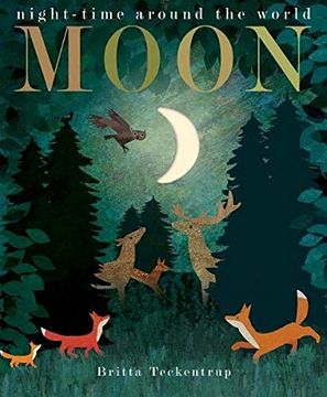 portada Moon: Night-Time Around the World (en Inglés)