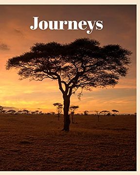 portada Journeys (in English)