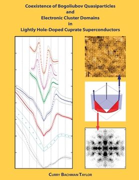 portada Coexistence of Bogoliubov Quasiparticles and Electronic Cluster Domains in Lightly Hole-Doped Cuprate Superconductors (en Inglés)