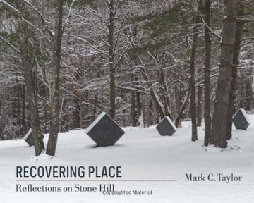 portada Recovering Place - Reflections on Stone Hill (Religion, Culture, and Public Life) 