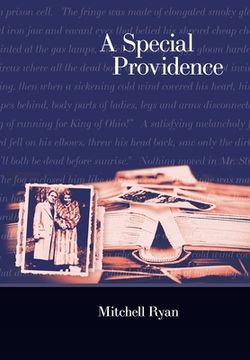 portada A Special Providence (in English)