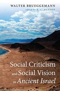 portada Social Criticism and Social Vision in Ancient Israel (en Inglés)
