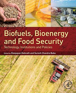 portada Biofuels, Bioenergy and Food Security: Technology, Institutions and Policies 