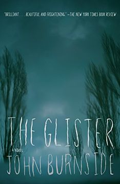 portada The Glister (in English)