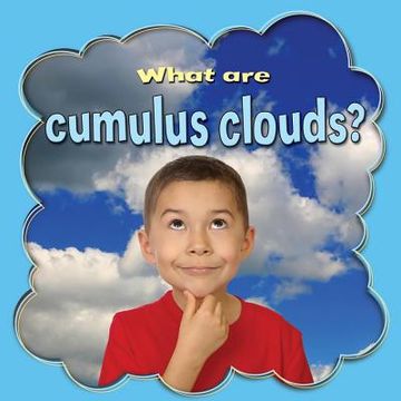 portada what are cumulus clouds? (en Inglés)