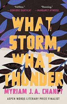 portada What Storm, What Thunder (en Inglés)