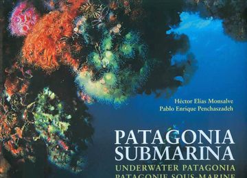 portada Patagonia Submarina (in Spanish)