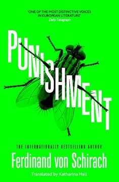 portada Punishment (en Inglés)