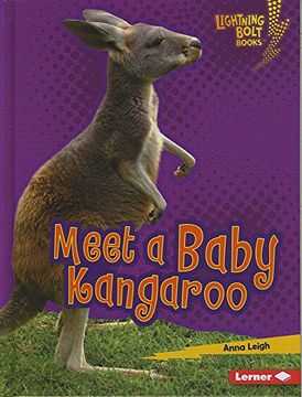 portada Meet a Baby Kangaroo (Lightning Bolt Books: Baby Australian Animals)