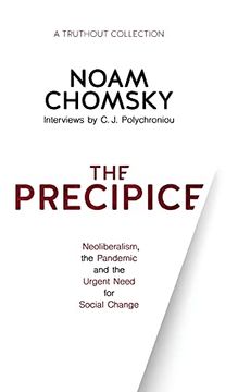 portada The Precipice: Neoliberalism, the Pandemic and Urgent Need for Radical Change (en Inglés)