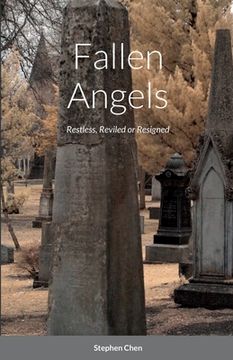 portada Fallen Angels: Restless, Reviled or Resigned (en Inglés)
