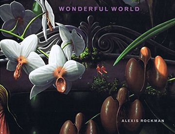 portada Rockman Alexis - Wonderful World (in English)