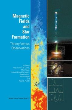 portada magnetic fields and star formation: theory versus observations (in English)