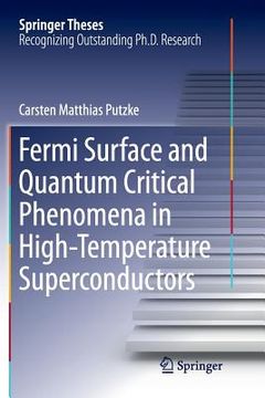 portada Fermi Surface and Quantum Critical Phenomena of High-Temperature Superconductors (en Inglés)