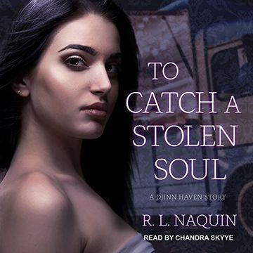 portada To Catch a Stolen Soul: A Humorous Urban Fantasy Novel (Djinn Haven) () (in English)