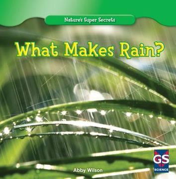portada What Makes Rain? (in English)
