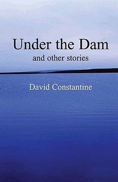 portada under the dam: and other stories (en Inglés)