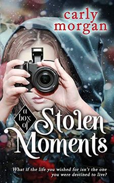 portada A box of Stolen Moments (a fae and his Human) (en Inglés)