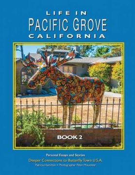portada Life in Pacific Grove: Deeper Connections (Stories of America) (en Inglés)
