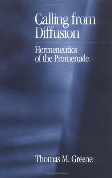 portada Calling from Diffusion: Hermeneutics of the Promenade (in English)