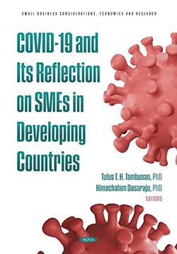 portada Covid-19 and its Reflection on Smes in Developing Countries