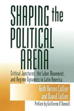portada Shaping the Political Arena (Kellogg Institute Series on Democracy and Development) (en Inglés)